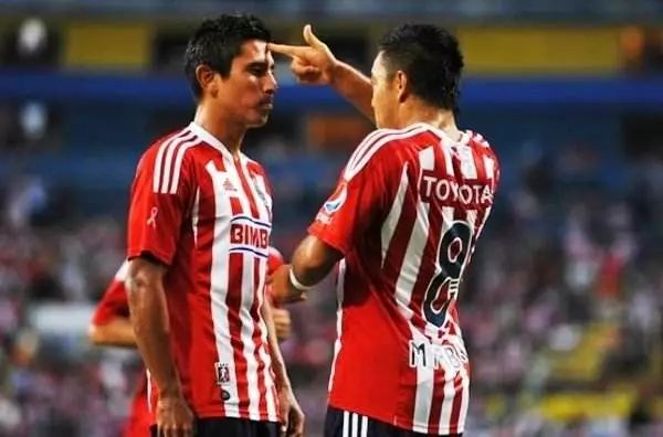  紫百合绽放惊喜，佛罗伦萨爆冷门